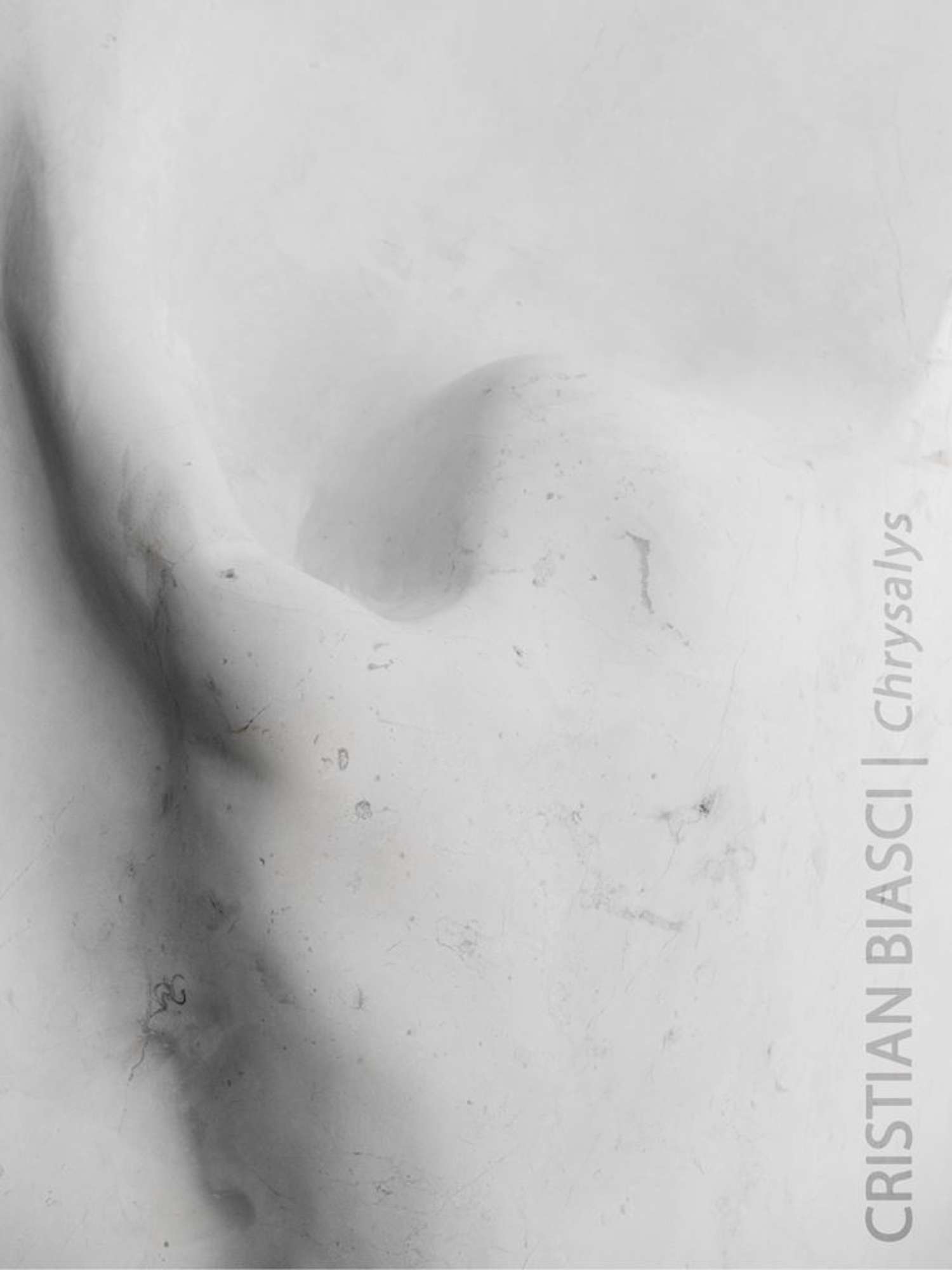 Sculture riprodotte-Chrysalys-Biasci
